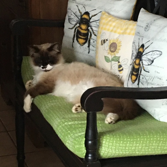 Happiness - Picture 4 of 8